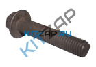 ���� ���������� ���������� 